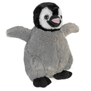Cuddlekins Penguin