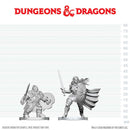 Dwarf Fighter & Orc Paladin