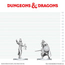 Drow Elite Warrior & Drow Priestess of Lolth