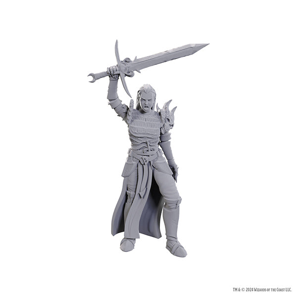 D&D Nolzur's Marvelous Miniatures: Unpainted Minis- Wave 25- Blackguard