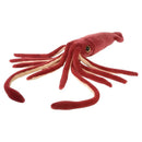 Giant Squid