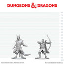 Elf Ranger & Dragonborn Monk