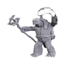 Tortle Druid & Wild Shape Giant Lizard