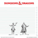 knight & Mage Apparentice