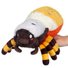 Squishable Orb Weaver