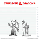 Human Druid & Elf Sorcerer