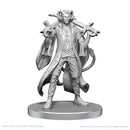 Critical Role Unpainted Miniatures: Mollymauk Tealeaf & Caduceus Clay