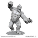 Kong