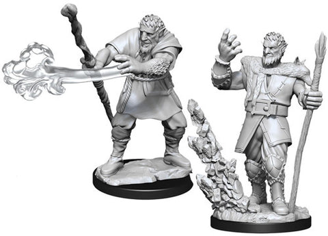 D&D Nolzur's Marvelous Miniatures: Male Firbolg Druid