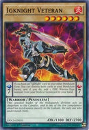 Igknight Veteran [DOCS-EN031] Common