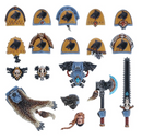 Space Wolves Upgrade Pack