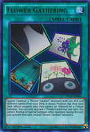 Flower Gathering [DLCS-EN136] Common