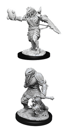 D&D Nolzur's Marvelous Miniatures: Dragonborn Paladin