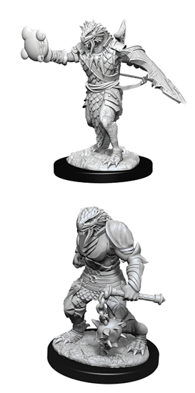 D&D Nolzur's Marvelous Miniatures: Dragonborn Paladin