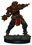 Icon of the Realms Premium Miniatures: Dragonborn Fighter