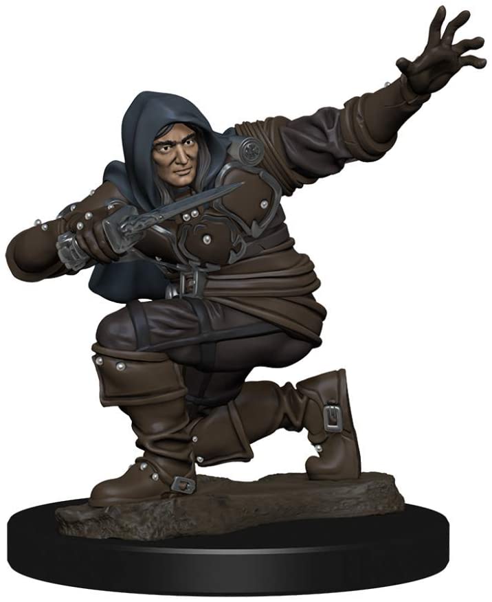 Pathfinder Battles: Human Male Rogue