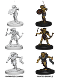 D&D Nolzur's Marvelous Miniatures: Goblins