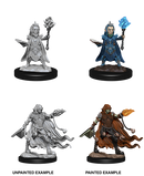 Pathfinder Deep Cuts Unpainted Miniatures: Evil Wizards