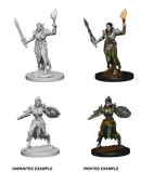 Pathfinder Deep Cuts Unpainted Miniature: Elf Female Fighter
