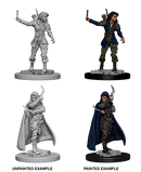 Pathfinder Deep Cuts Unpainted Miniature: Human Female Rogue