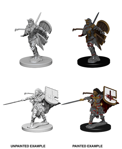 Pathfinder Deep Cuts Unpainted Minis: Human Female Paladin