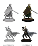 Pathfinder Deep Cuts Unpainted Miniatures: Elf Male Paladin