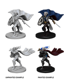 Pathfinder Deep Cuts Unpainted Miniatures: Elf Female Paladin