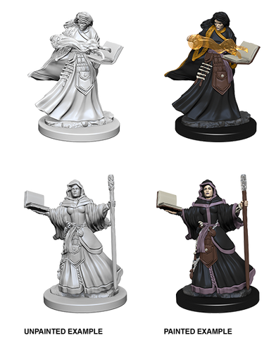 D&D Nolzur's Marvelous Miniatures: Human Wizard