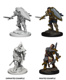 D&D Nolzur's Marvelous Miniatures: Human Paladin