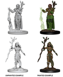 D&D Nolzur's Marvelous Miniatures: Human Druid
