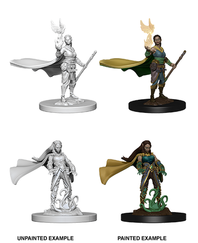 D&D Nolzur's Marvelous Miniatures : Elf Druid