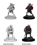 D&D Nolzur's Marvelous Miniatures: Drow