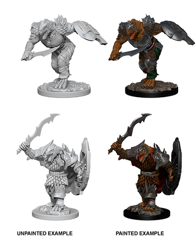 D&D Nolzur's Marvelous Miniatures: Dragonborn Fighter