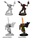 D&D Nolzur's Marvelous Miniatures: Dragonborn Fighter