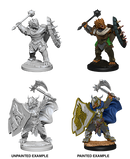 D&D Nolzur's Marvelous Miniatures: Dragonborn Paladin