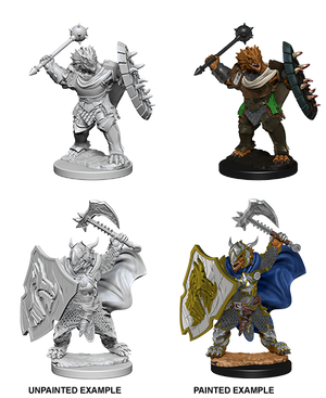 D&D Nolzur's Marvelous Miniatures: Dragonborn Paladin
