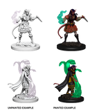 D&D Nolzur's Marvelous Miniatures: Tiefling Sorcerer