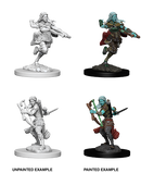 D&D Nolzur's Marvelous Miniatures: Air Genasi Rogue