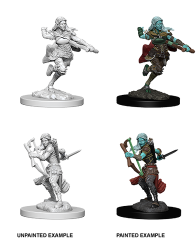 D&D Nolzur's Marvelous Miniatures: Air Genasi Rogue