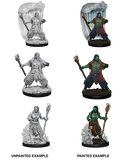 D&D Nolzur's Marvelous Miniatures: Water Genasi Druid