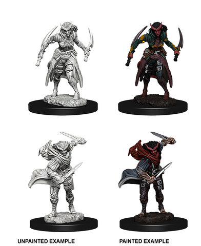 D&D Nolzur's Marvelous Miniatures: Female Tiefling Rogue