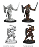 Dragonborn Paladin