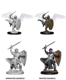D&D Nolzur's Marvelous Miniatures: Aasimar Paladin