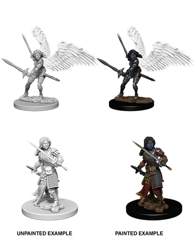 D&D Nolzur's Marvelous Miniatures: Aasimar Paladin