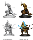 D&D Nolzur's Marvelous Miniatures: Githzerai