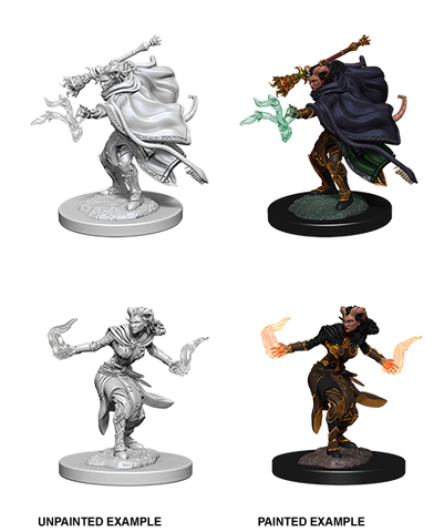 Female Tiefling Warlock