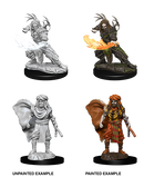 D&D Nolzur's Marvelous Miniatures: Human Druid