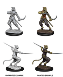 D&D Nolzur's Marvelous Miniatures: Tabaxi Rogue