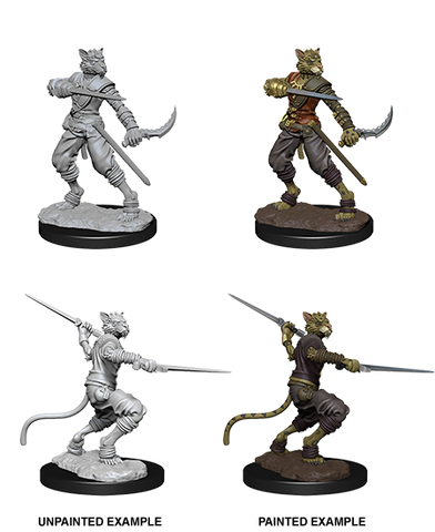 D&D Nolzur's Marvelous Miniatures: Tabaxi Rogue