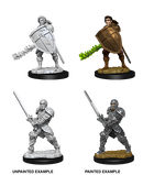 D&D Nolzur's Marvelous Miniatures: Human Fighter